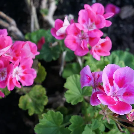 Otel Anaiade, The Originals City, Saint-nazaire Pornichet 3*