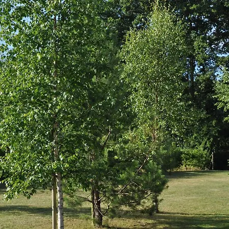 Anaiade, The Originals City, Saint-nazaire Pornichet מלון 3*