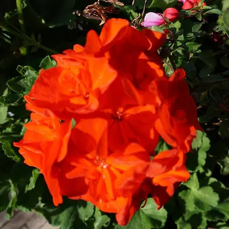 Anaiade, The Originals City, Saint-nazaire Pornichet 호텔