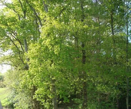 מלון Anaiade, The Originals City, Saint-nazaire Pornichet סן נזאר